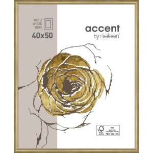 Ascot houten lijst 40x50 cm goud