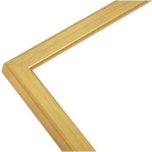 Houten lijst s41j Deknudt 10x15 cm goud