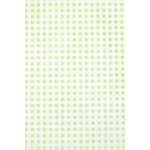 Papier 70x100 cm Vlies Vichy lime