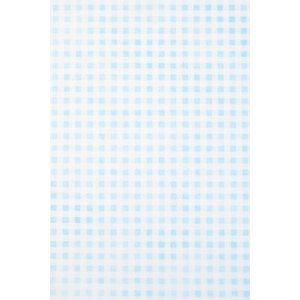 Papier 70x100 cm vlies Vichy blauw