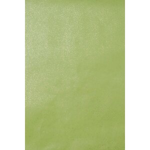 Papier 70x100 cm glitter papier groen